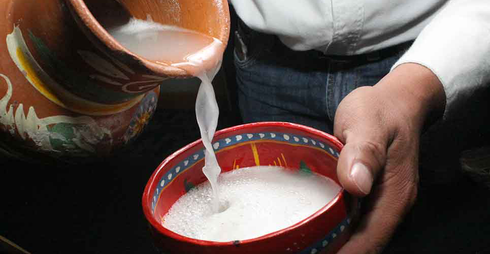 / Nuestra riqueza gastronómica 3 pulque edomex 1